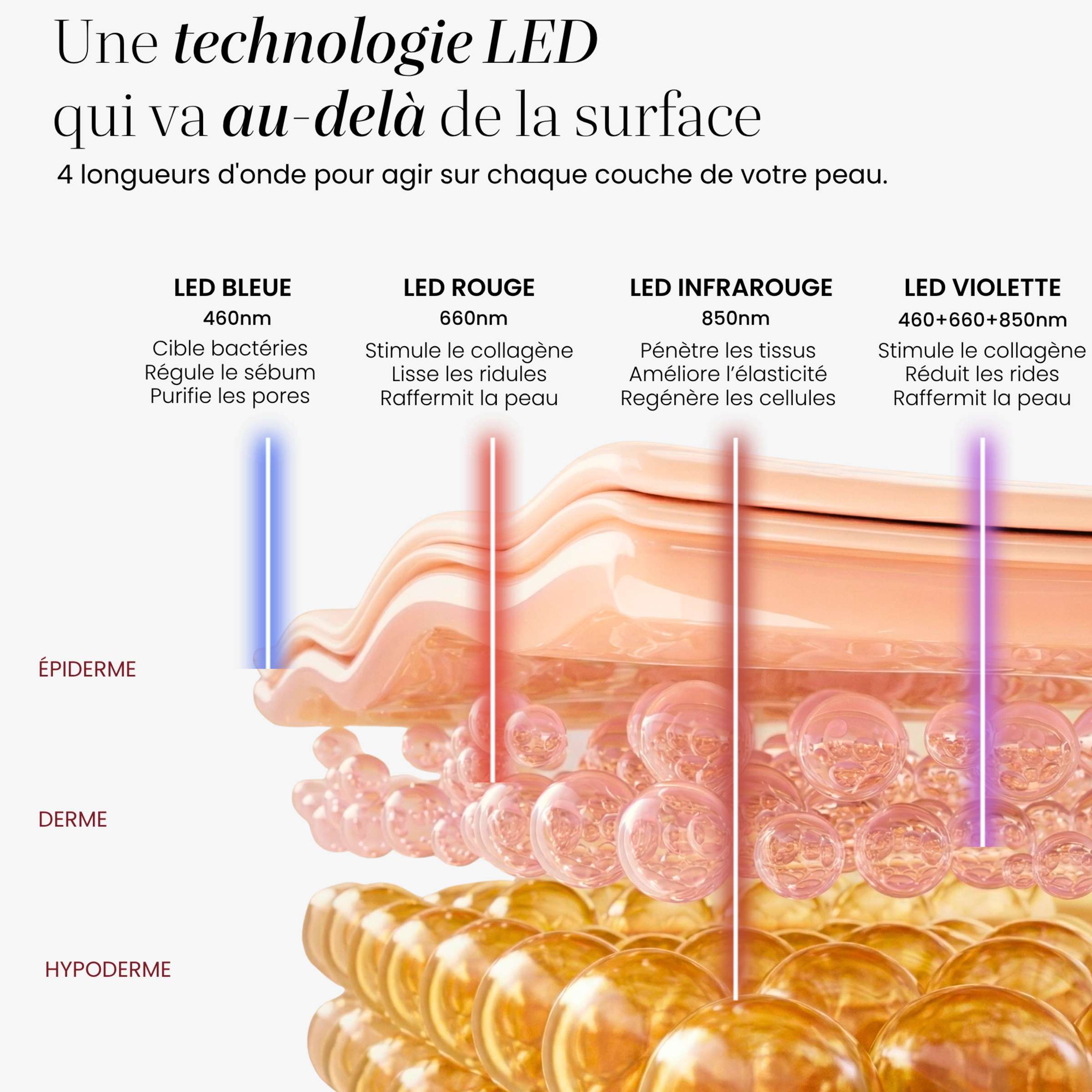 Les 4 longueurs d'onde du Masque LED intégral Auréa™ : bleue 460 nm, rouge 660 nm, infrarouge 850 nm et violette, sur les couches de la peau